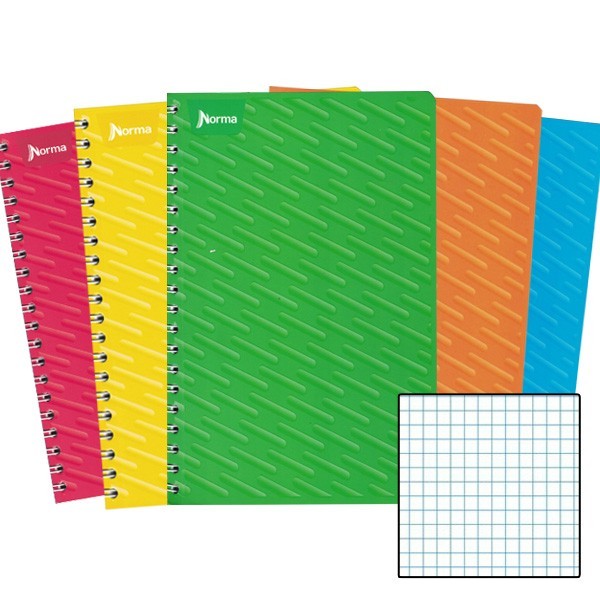 CUADERNO PROF. UNICOLOR NORMA 580814 C5 ESP. 100H. PZA